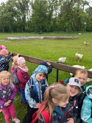 zoo